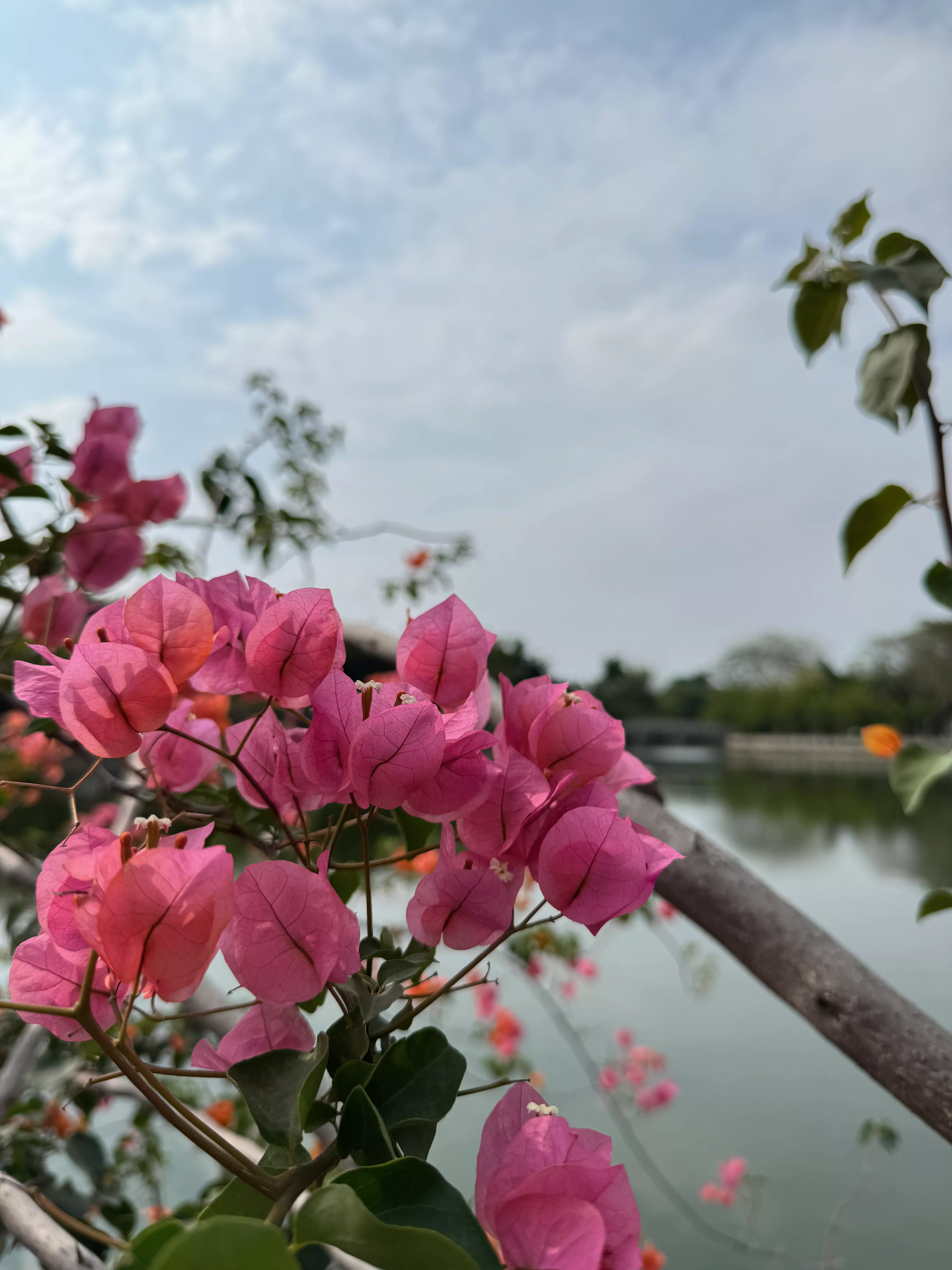 我在嫉妒